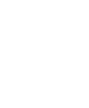 THE KAUFMAN COMPANY